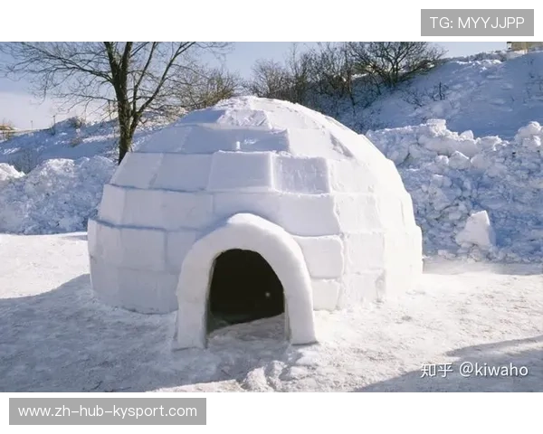 _极地冰泳赛事：在极寒中感受运动魅力_，极地冰屋图片
