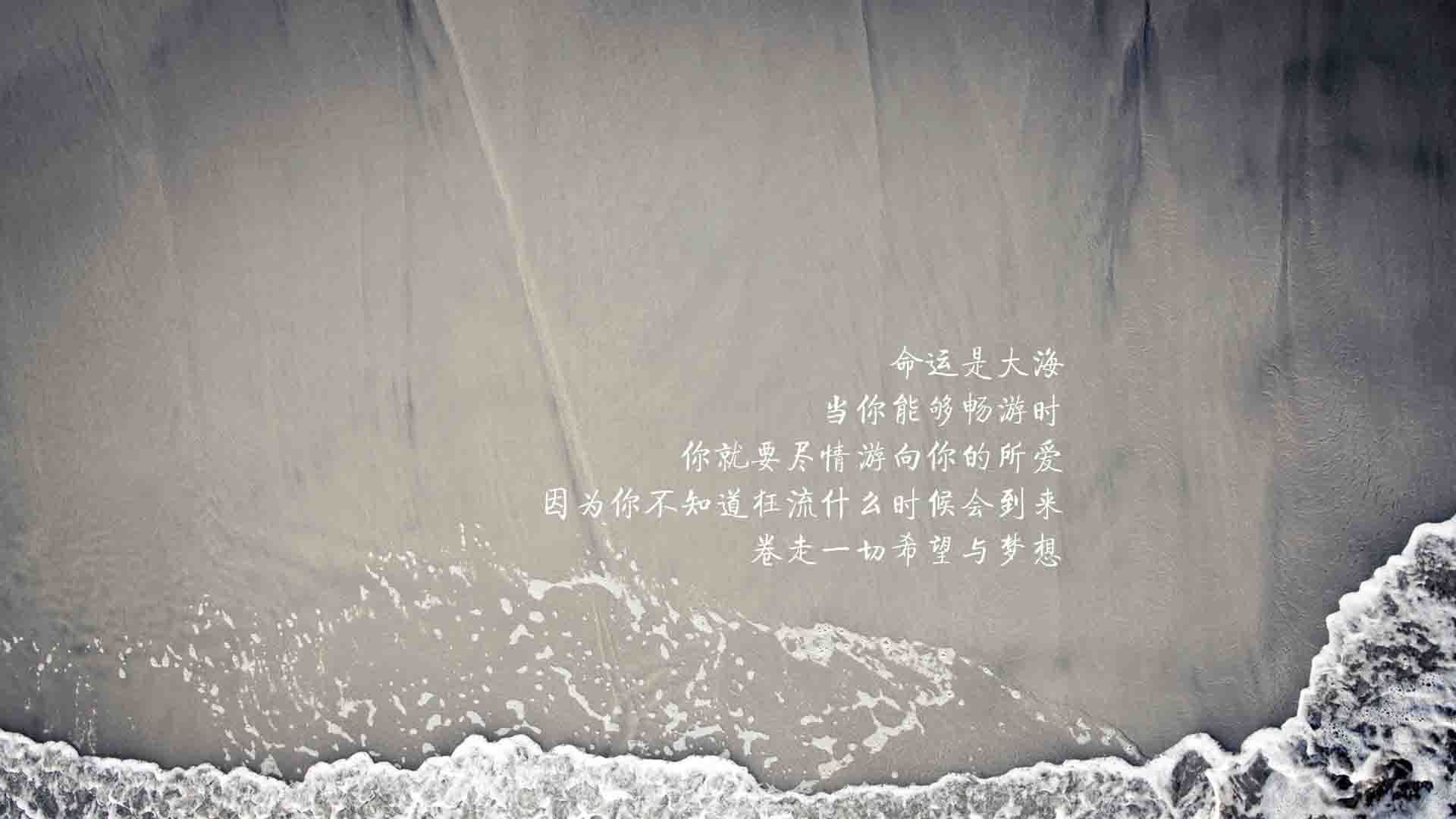 开云官网-中国女将勇夺四金 续写辉煌，中国女将勇夺四金 续写辉煌的故事