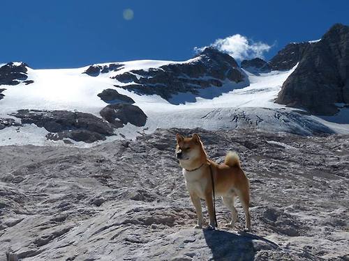 基层赛事运营模式无法实现自负盈亏,赛事运行机制
