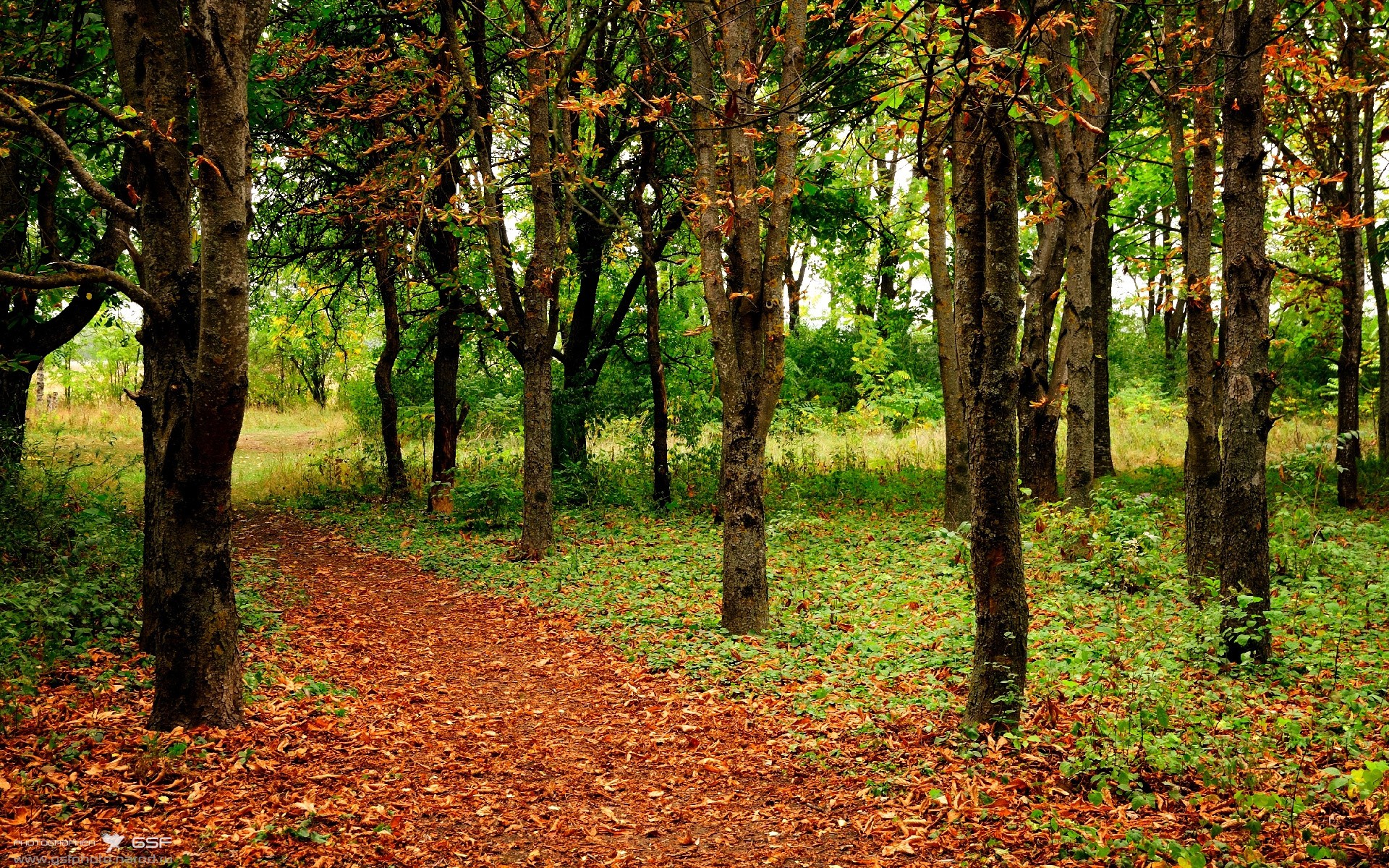 广东男篮老将发挥稳定年轻队员快速成长,广东男篮名将