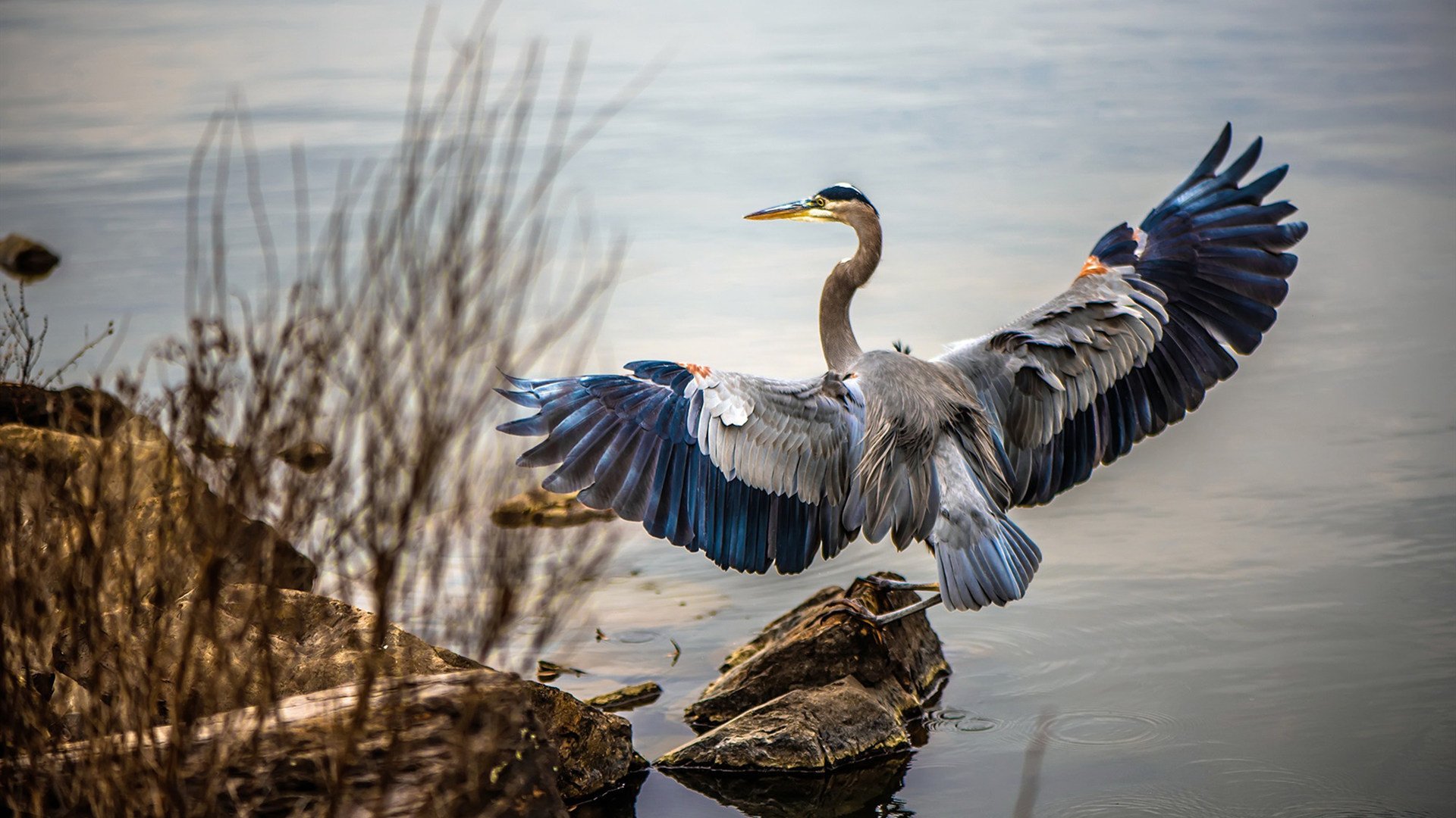 曼联边锋积极回撤参与防守反抢，曼联防守反击