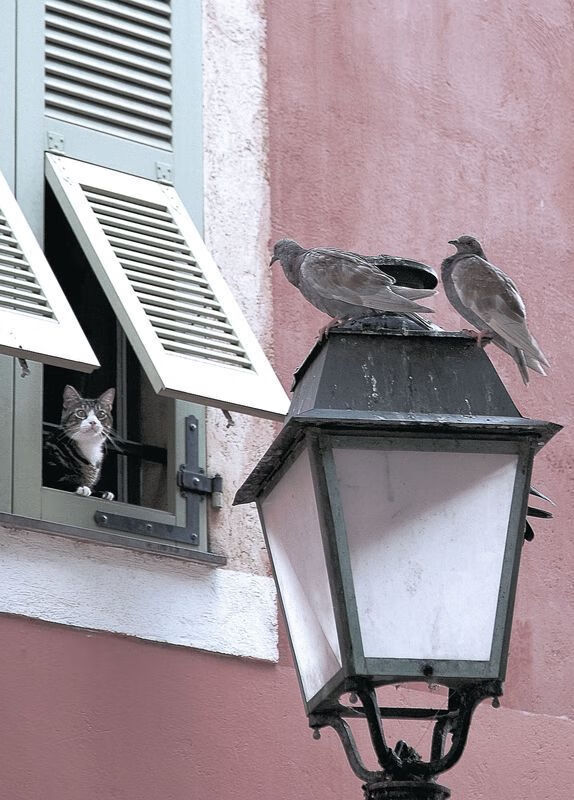 kaiyun-法国新一代天才崭露头角，未来无限可能