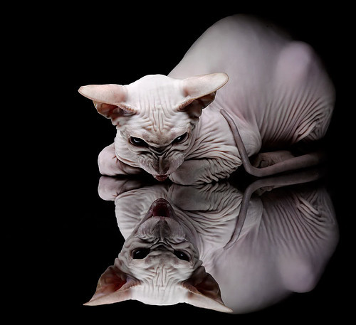 法国新一代天才崭露头角，未来无限可能